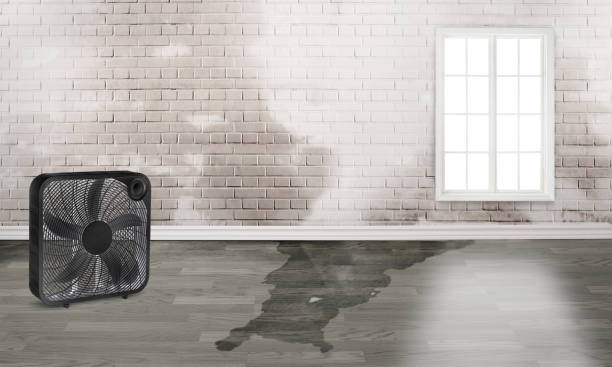 Water damage restoration process in OR
