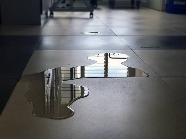 Professional Water damage restoration in OR