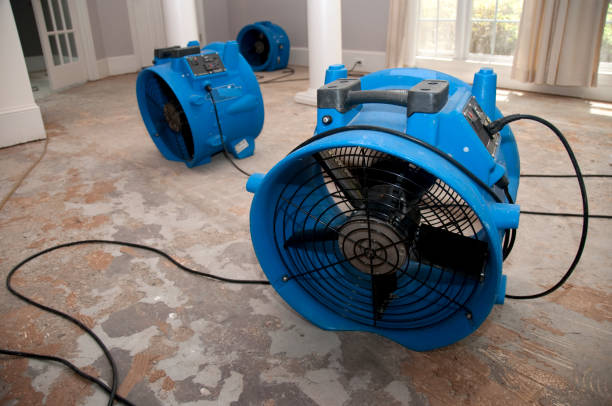 Best Flooded house restoration  in Sublimity, OR